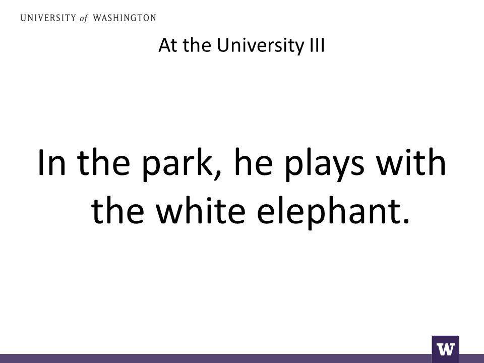 In the park, he plays with the white elephant.