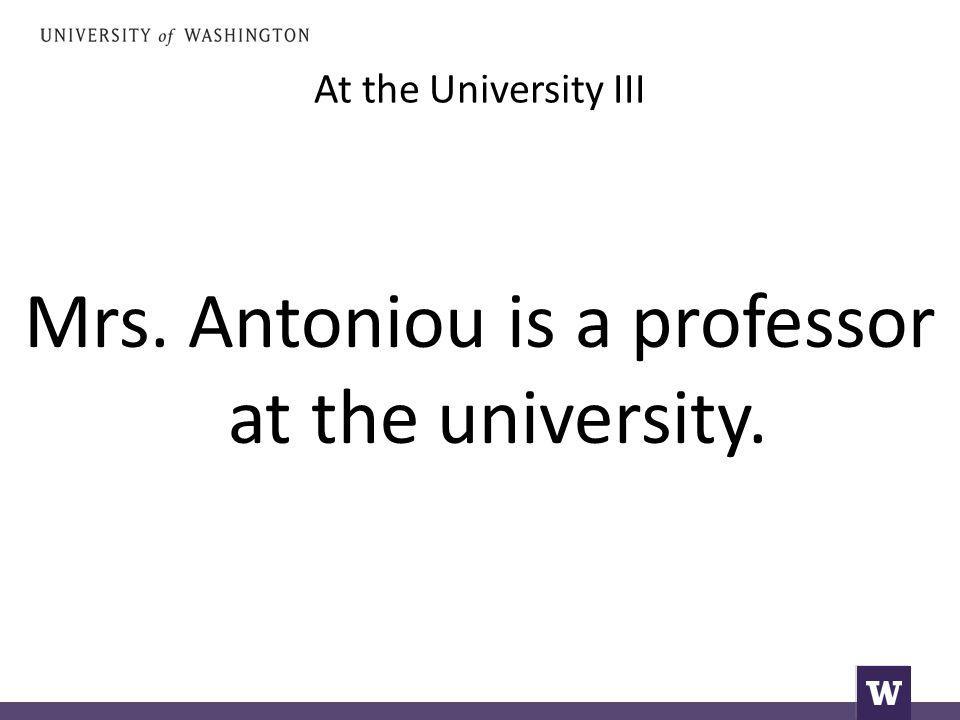At the University III Mrs. Antoniou is a professor at the university.