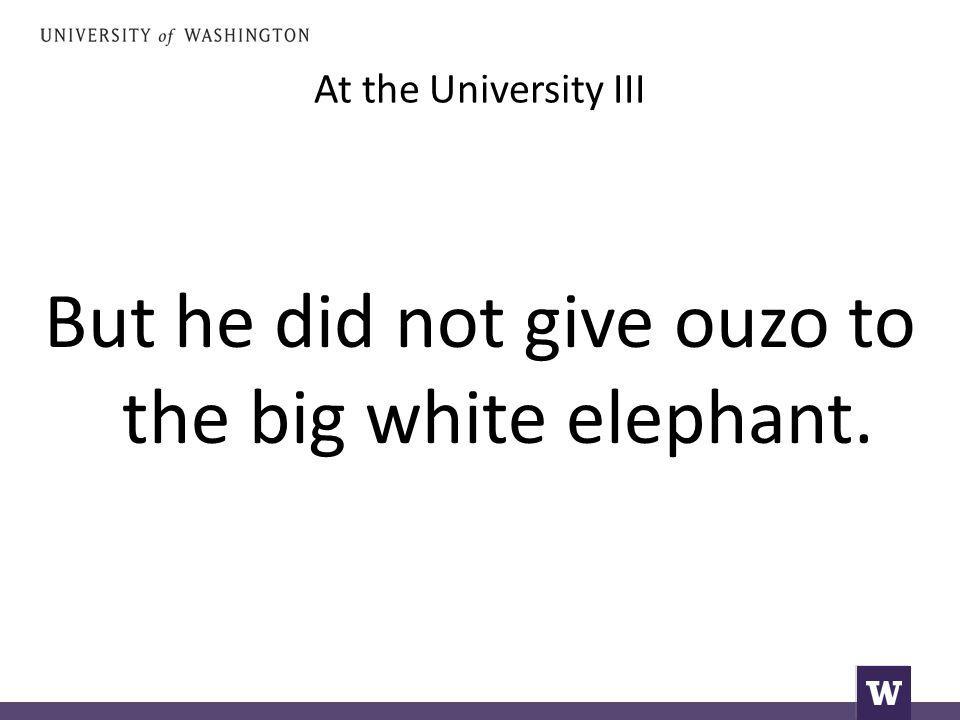At the University III But he did not give ouzo to the big white elephant.