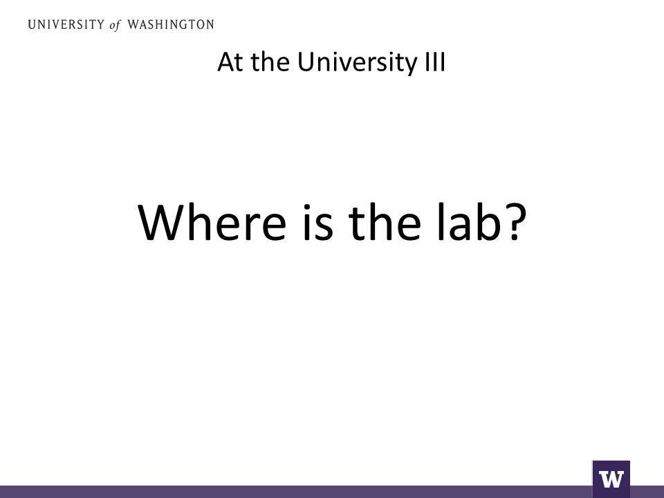 At the University III Where is the lab