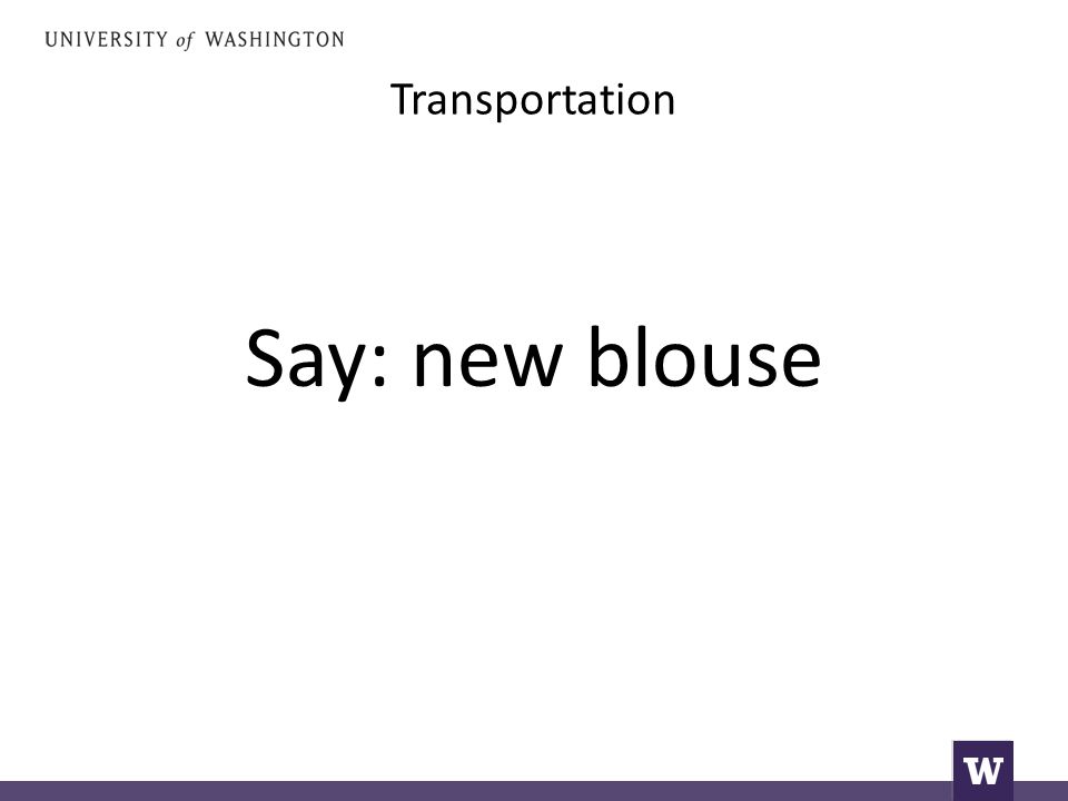 Transportation Say: new blouse