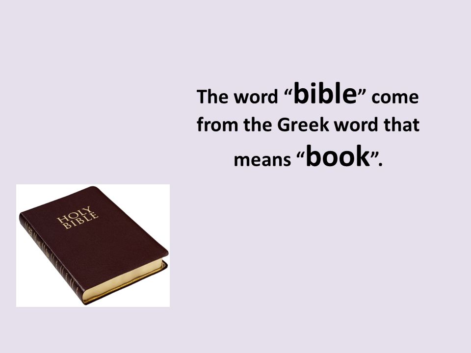 The word bible come from the Greek word that means book .
