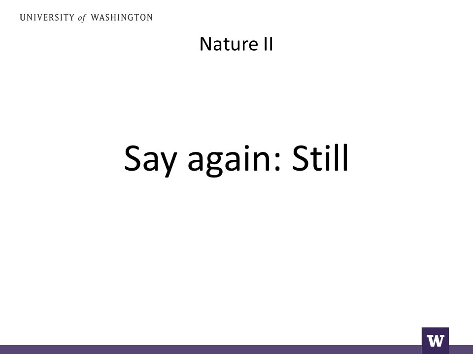 Nature II Say again: Still
