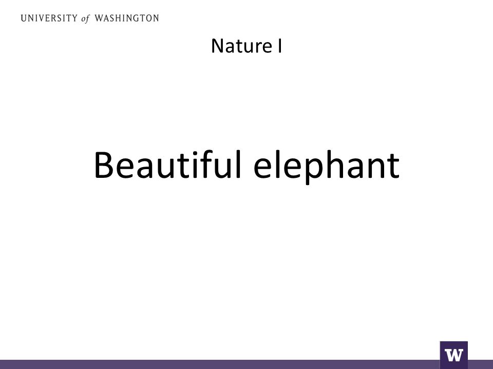 Nature I Beautiful elephant
