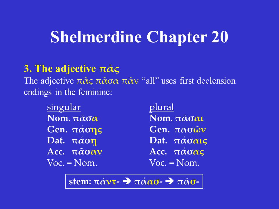 Shelmerdine Chapter 20 3.