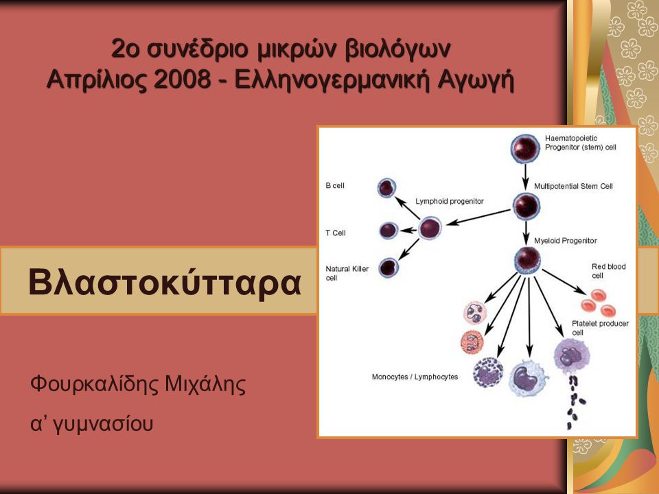 Βλαστοκύτταρα Φουρκαλίδης Μιχάλης α’ γυμνασίου 2ο συνέδριο μικρών βιολόγων Απρίλιος Ελληνογερμανική Αγωγή