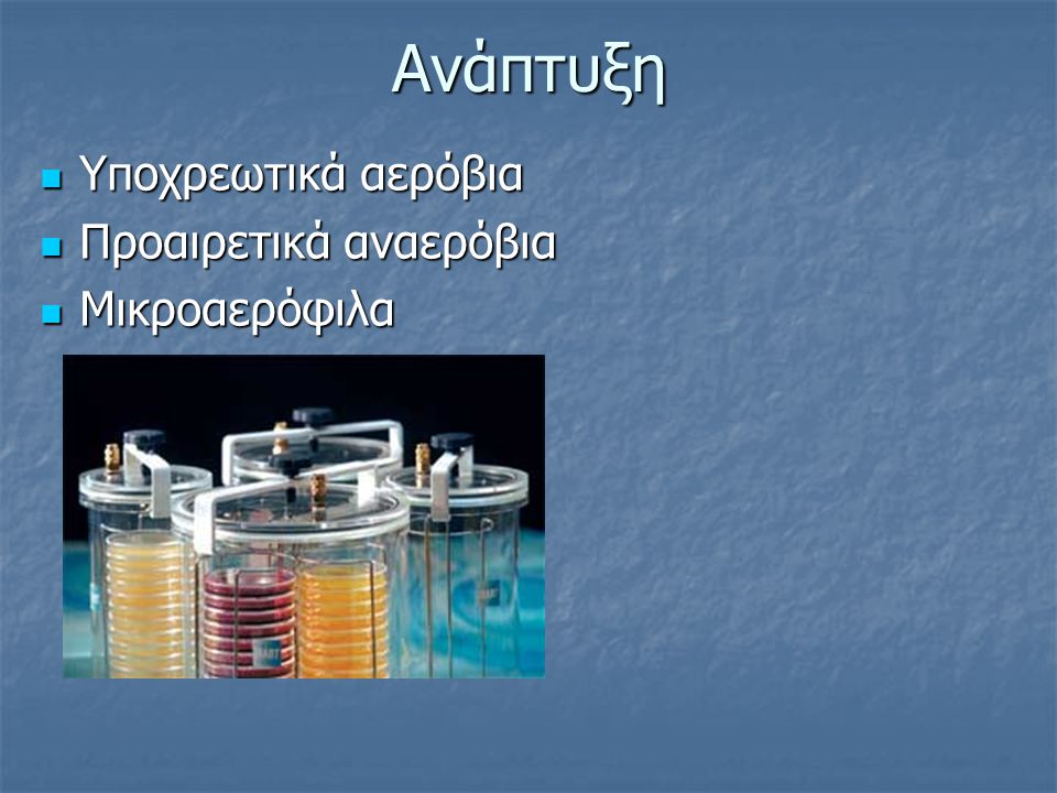 Ανάπτυξη Υποχρεωτικά αερόβια Υποχρεωτικά αερόβια Προαιρετικά αναερόβια Προαιρετικά αναερόβια Μικροαερόφιλα Μικροαερόφιλα