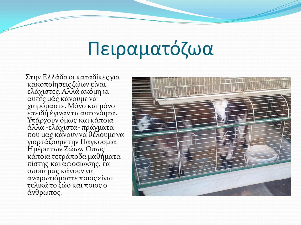 Πειραματόζωα Στην Ελλάδα οι καταδίκες για κακοποίησεις ζώων είναι ελάχιστες.