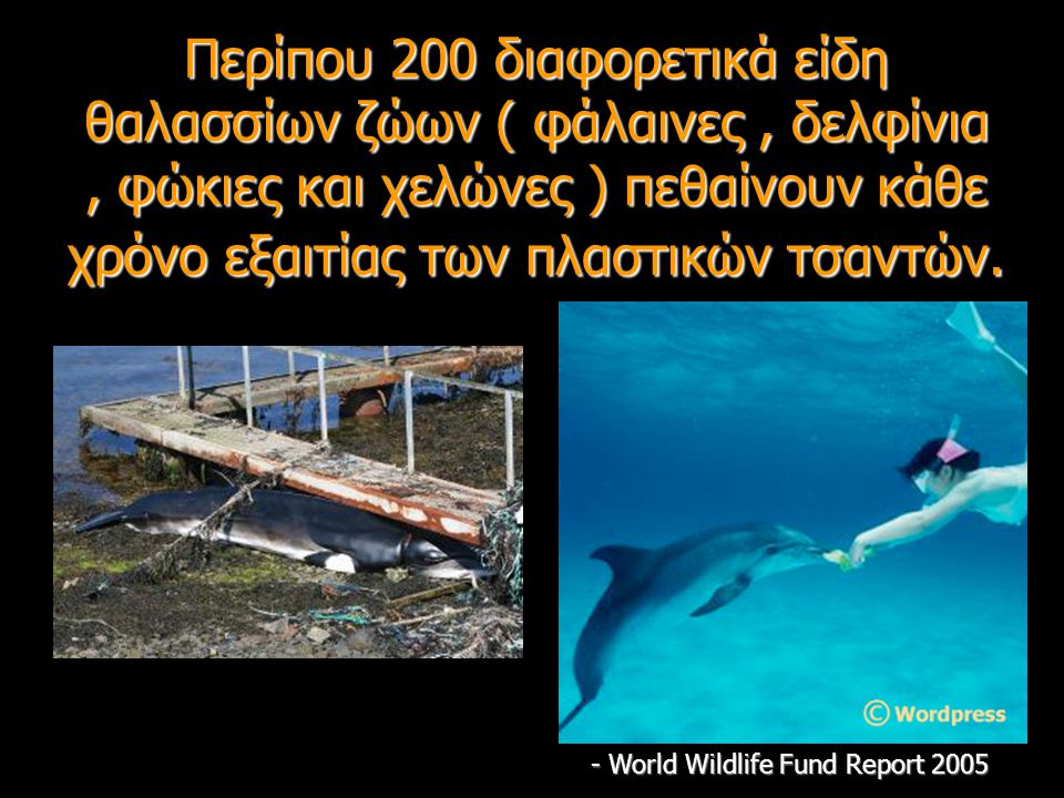 Περίπου 200 διαφορετικά είδη θαλασσίων ζώων ( φάλαινες, δελφίνια, φώκιες και χελώνες ) πεθαίνουν κάθε χρόνο εξαιτίας των πλαστικών τσαντών.