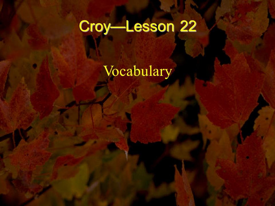 Croy—Lesson 22 Vocabulary