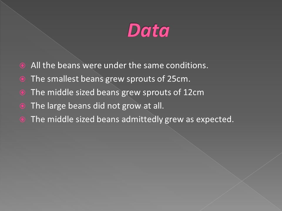  All the beans were under the same conditions.  The smallest beans grew sprouts of 25cm.
