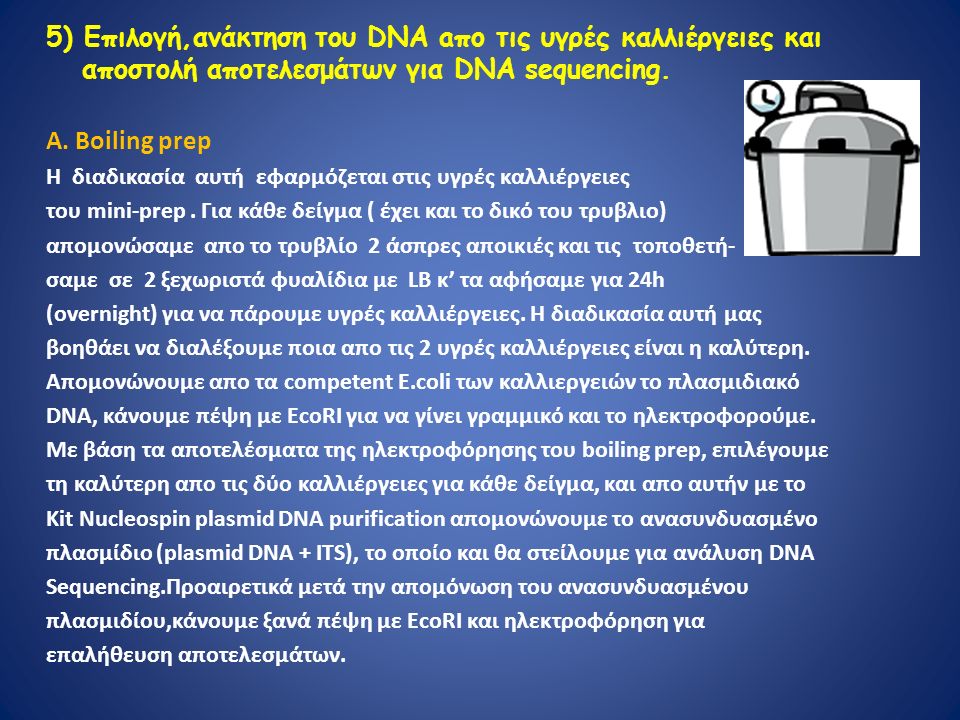 5) Επιλογή,ανάκτηση του DNA aπο τις υγρές καλλιέργειες και αποστολή αποτελεσμάτων για DNA sequencing.