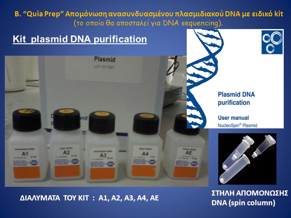 ΔΙΑΛΥΜΑΤΑ ΤΟΥ ΚΙΤ : A1, A2, A3, A4, AE ΣΤΗΛΗ ΑΠΟΜΟΝΩΣΗΣ DNA (spin column) Β.