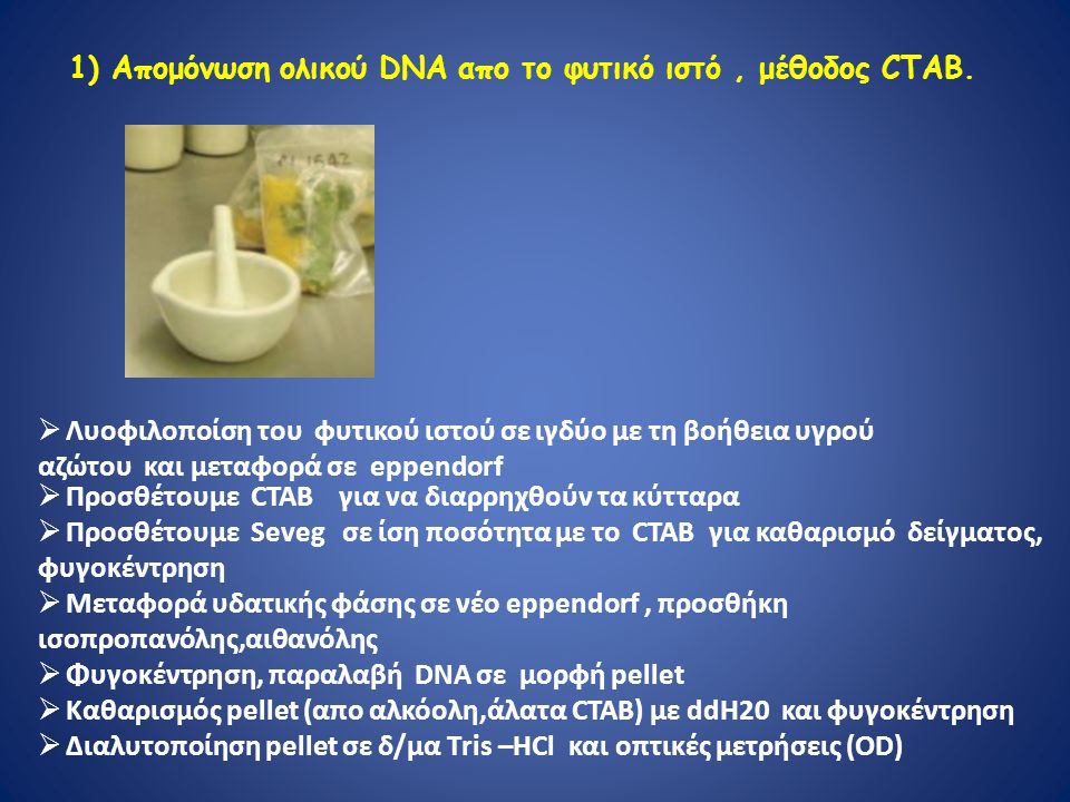 1) Aπομόνωση ολικού DNA απο το φυτικό ιστό, μέθοδος CTAB.