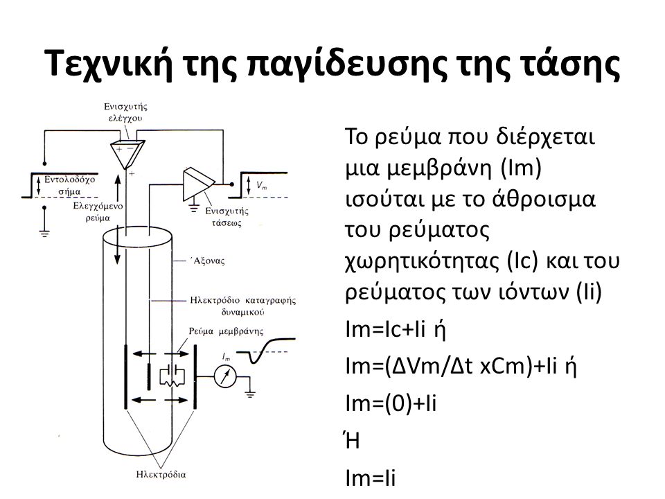 Τεχνική της παγίδευσης της τάσης Το ρεύμα που διέρχεται μια μεμβράνη (Im) ισούται με το άθροισμα του ρεύματος χωρητικότητας (Ic) και του ρεύματος των ιόντων (Ii) Im=Ic+Ii ή Im=(ΔVm/Δt xCm)+Ii ή Im=(0)+Ii Ή Im=Ii