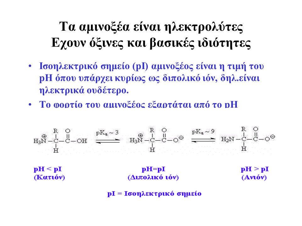 Τα αμινοξέα είναι ηλεκτρολύτες Εχουν όξινες και βασικές ιδιότητες Ισοηλεκτρικό σημείο (pI) αμινοξέος είναι η τιμή του pH όπου υπάρχει κυρίως ως διπολικό ιόν, δηλ.είναι ηλεκτρικά ουδέτερο.