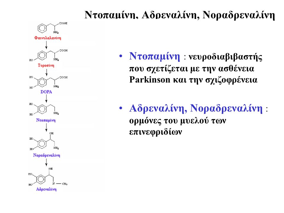 Nτοπαμίνη, Αδρεναλίνη, Νοραδρεναλίνη Ντοπαμίνη : νευροδιαβιβαστής που σχετίζεται με την ασθένεια Parkinson και την σχιζοφρένεια Αδρεναλίνη, Νοραδρεναλίνη : ορμόνες του μυελού των επινεφριδίων