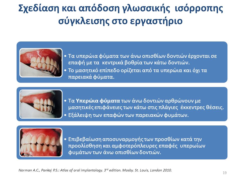 Τα υπερώια φύματα των άνω οπισθίων δοντιών έρχονται σε επαφή με τα κεντρικά βοθρία των κάτω δοντιών.