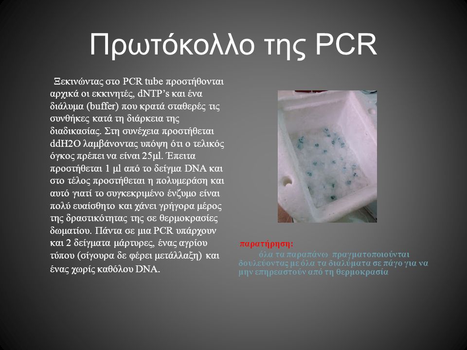 Πρωτόκολλο της PCR παρατήρηση: όλα τα παραπάνω πραγματοποιούνται δουλεύοντας με όλα τα διαλύματα σε πάγο για να μην επηρεαστούν από τη θερμοκρασία Ξεκινώντας στο PCR tube προστήθονται αρχικά οι εκκινητές, dNTP’s και ένα διάλυμα (buffer) που κρατά σταθερές τις συνθήκες κατά τη διάρκεια της διαδικασίας.