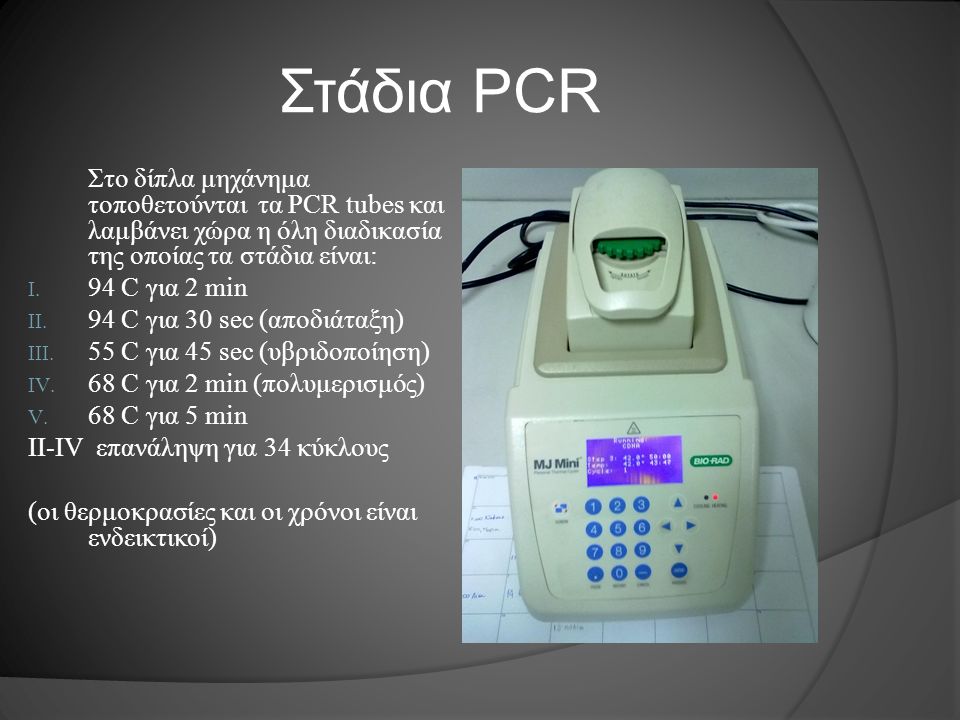 Στάδια PCR Στο δίπλα μηχάνημα τοποθετούνται τα PCR tubes και λαμβάνει χώρα η όλη διαδικασία της οποίας τα στάδια είναι: I.