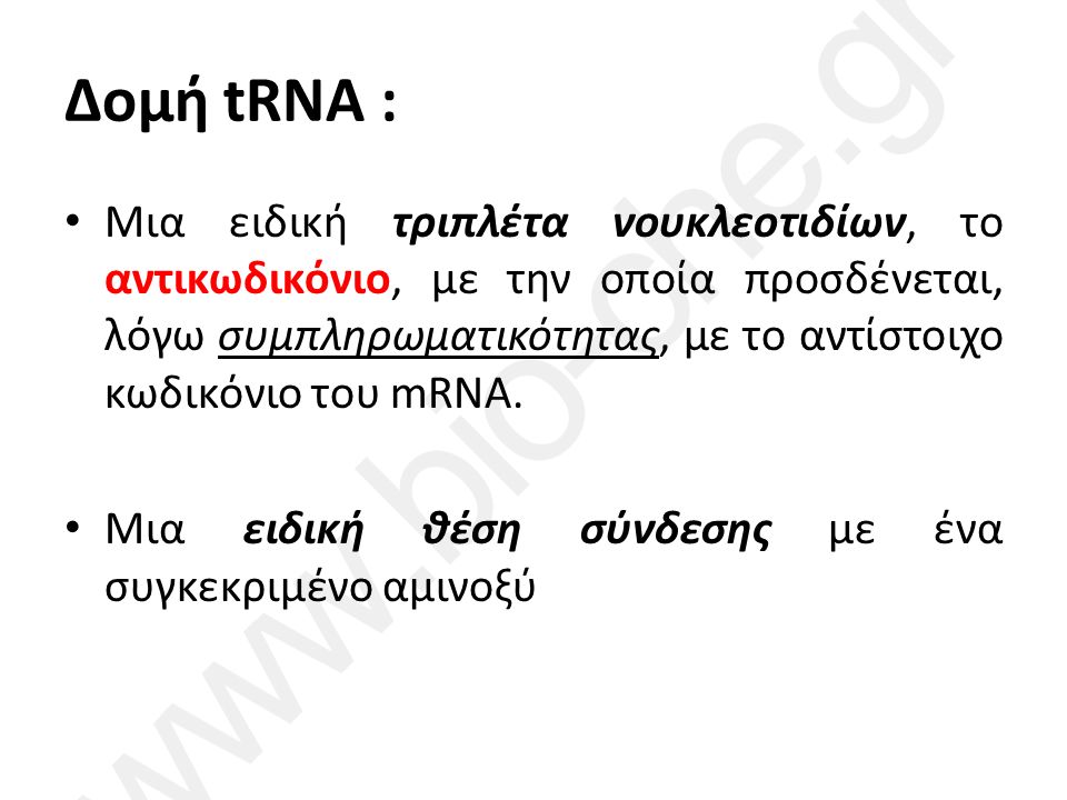 Δομή tRNA : Μια ειδική τριπλέτα νουκλεοτιδίων, το αντικωδικόνιο, με την οποία προσδένεται, λόγω συμπληρωματικότητας, με το αντίστοιχο κωδικόνιο του mRNA.