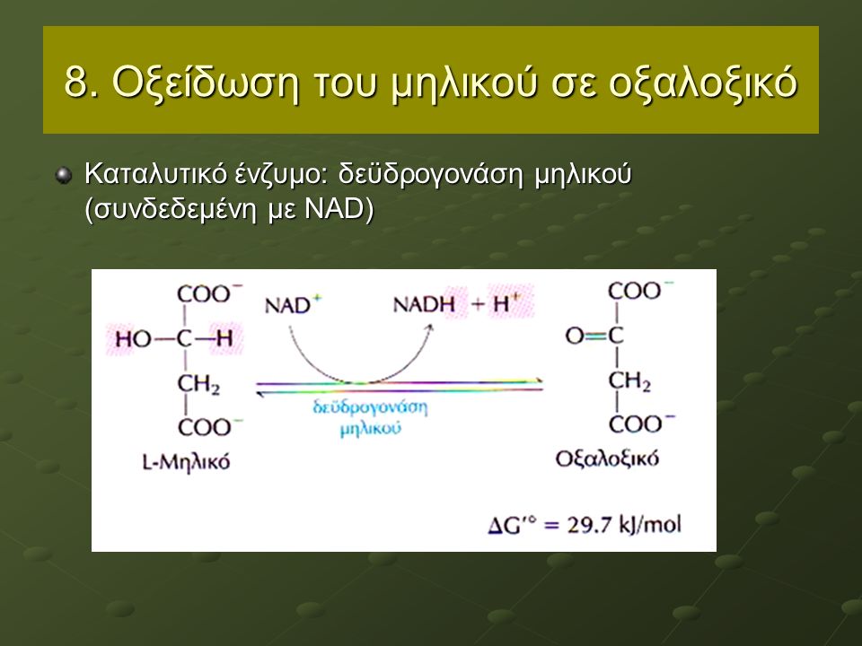 8. Οξείδωση του μηλικού σε οξαλοξικό Καταλυτικό ένζυμο: δεϋδρογονάση μηλικού (συνδεδεμένη με NAD)