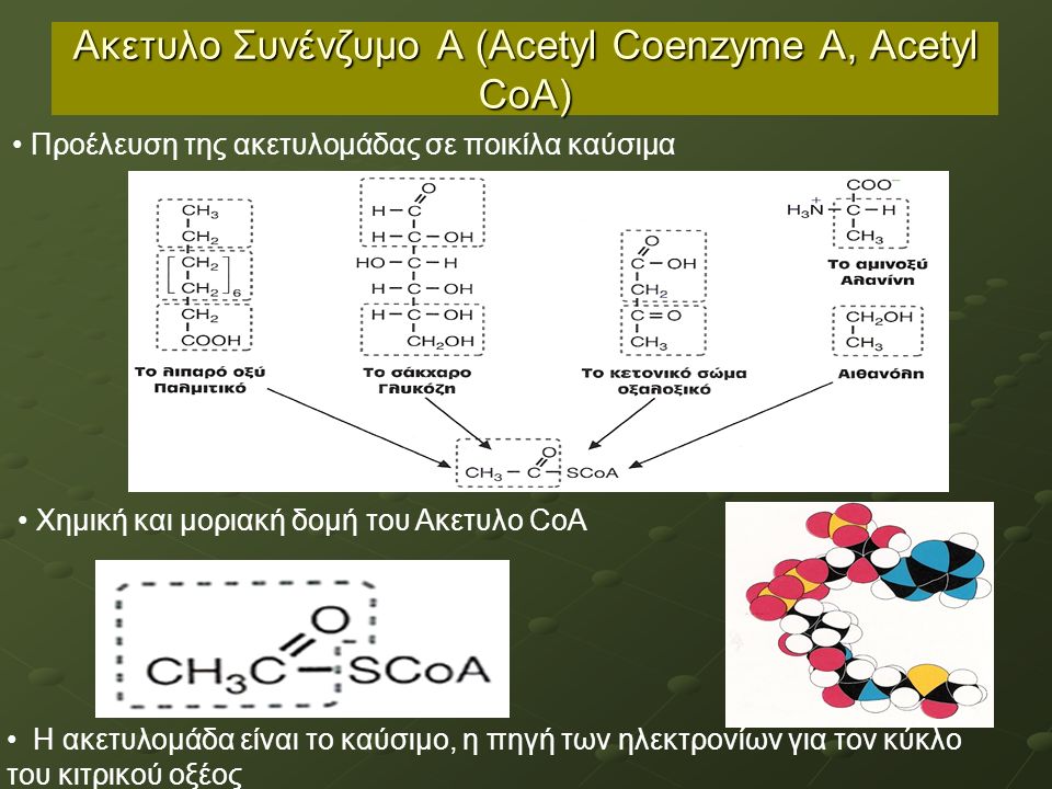 Ακετυλο Συνένζυμο Α (Acetyl Coenzyme A, Acetyl CoA) Η ακετυλομάδα είναι το καύσιμο, η πηγή των ηλεκτρονίων για τον κύκλο του κιτρικού οξέος Προέλευση της ακετυλομάδας σε ποικίλα καύσιμα Χημική και μοριακή δομή του Ακετυλο CoA