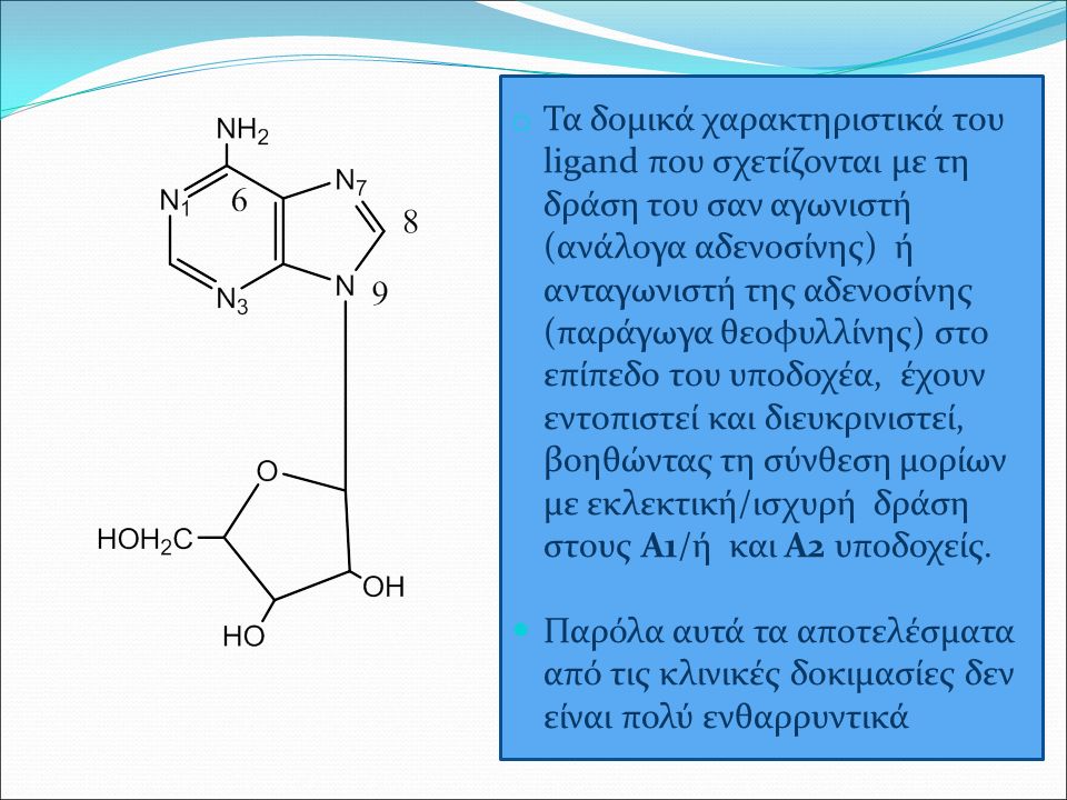 o Τα δομικά χαρακτηριστικά του ligand που σχετίζονται με τη δράση του σαν αγωνιστή (ανάλογα αδενοσίνης) ή ανταγωνιστή της αδενοσίνης (παράγωγα θεοφυλλίνης) στο επίπεδο του υποδοχέα, έχουν εντοπιστεί και διευκρινιστεί, βοηθώντας τη σύνθεση μορίων με εκλεκτική/ισχυρή δράση στους Α1/ή και Α2 υποδοχείς.