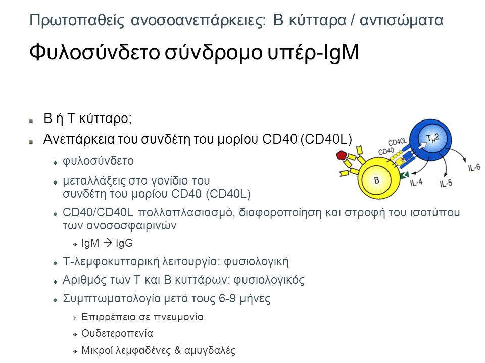 Πρωτοπαθείς ανοσοανεπάρκειες: Β κύτταρα / αντισώματα Φυλοσύνδετο σύνδρομο υπέρ-IgM Β ή Τ κύτταρο; Ανεπάρκεια του συνδέτη του μορίου CD40 (CD40L) φυλοσύνδετο μεταλλάξεις στο γονίδιο του συνδέτη του μορίου CD40 (CD40L) CD40/CD40L πολλαπλασιασμό, διαφοροποίηση και στροφή του ισοτύπου των ανοσοσφαιρινών  IgM  IgG Τ-λεμφοκυτταρική λειτουργία: φυσιολογική Αριθμός των Τ και Β κυττάρων: φυσιολογικός Συμπτωματολογία μετά τους 6-9 μήνες  Επιρρέπεια σε πνευμονία  Ουδετεροπενία  Μικροί λεμφαδένες & αμυγδαλές