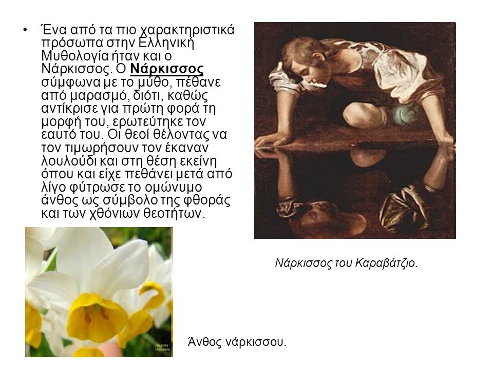 Ένα από τα πιο χαρακτηριστικά πρόσωπα στην Ελληνική Μυθολογία ήταν και ο Νάρκισσος.