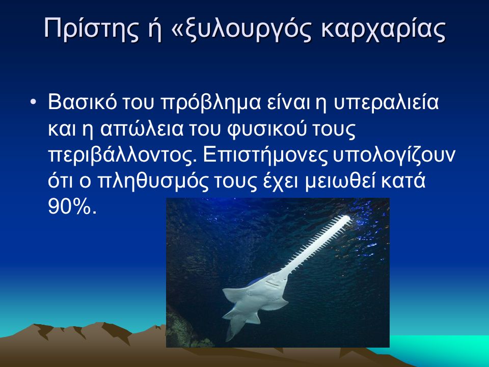 Πρίστης ή «ξυλουργός καρχαρίας Βασικό του πρόβλημα είναι η υπεραλιεία και η απώλεια του φυσικού τους περιβάλλοντος.