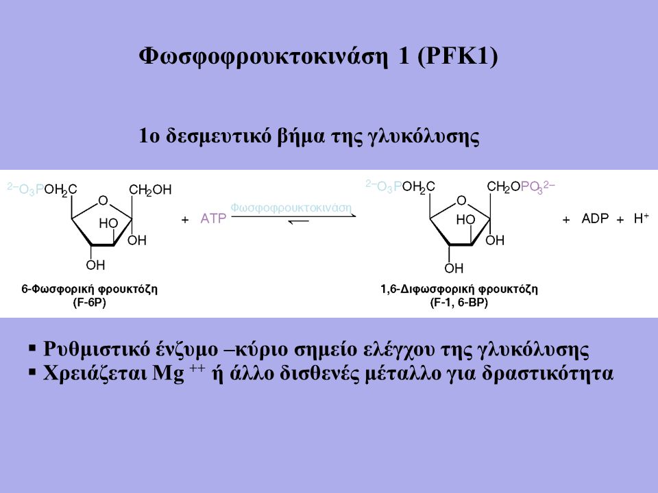 1ο δεσμευτικό βήμα της γλυκόλυσης  Ρυθμιστικό ένζυμο –κύριο σημείο ελέγχου της γλυκόλυσης  Χρειάζεται Μg ++ ή άλλο δισθενές μέταλλο για δραστικότητα Φωσφοφρουκτοκινάση 1 (PFK1)