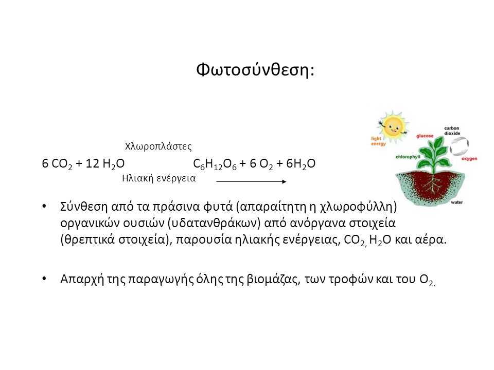 5 Χλωροπλάστες 6 CO H 2 O C 6 H 12 O O 2 + 6H 2 O Ηλιακή ενέργεια Σύνθεση από τα πράσινα φυτά (απαραίτητη η χλωροφύλλη) οργανικών ουσιών (υδατανθράκων) από ανόργανα στοιχεία (θρεπτικά στοιχεία), παρουσία ηλιακής ενέργειας, CO 2, H 2 O και αέρα.