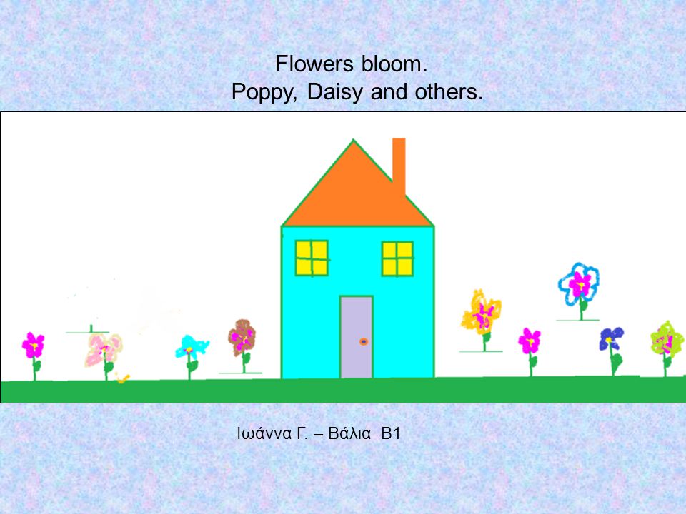 Flowers bloom. Poppy, Daisy and others. Ιωάννα Γ. – Βάλια Β1