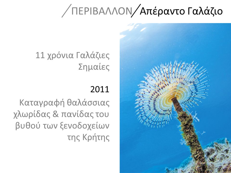 11 χρόνια Γαλάζιες Σημαίες 2011 Καταγραφή θαλάσσιας χλωρίδας & πανίδας του βυθού των ξενοδοχείων της Κρήτης ΠΕΡΙΒΑΛΛΟΝ Απέραντο Γαλάζιο