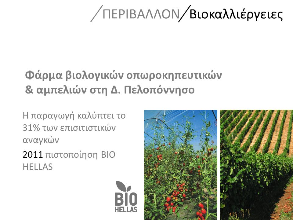 Η παραγωγή καλύπτει το 31% των επισιτιστικών αναγκών 2011 πιστοποίηση BIO HELLAS ΠΕΡΙΒΑΛΛΟΝ Βιοκαλλιέργειες Φάρμα βιολογικών οπωροκηπευτικών & αμπελιών στη Δ.