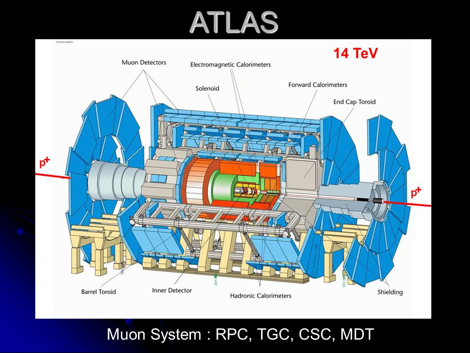 ATLAS Muon System : RPC, TGC, CSC, MDT