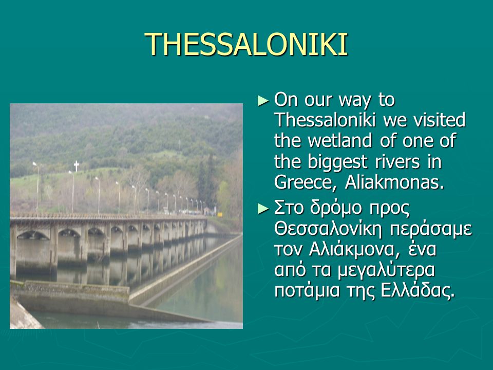 THESSALONIKI ► On our way to Thessaloniki we visited the wetland of one of the biggest rivers in Greece, Aliakmonas.