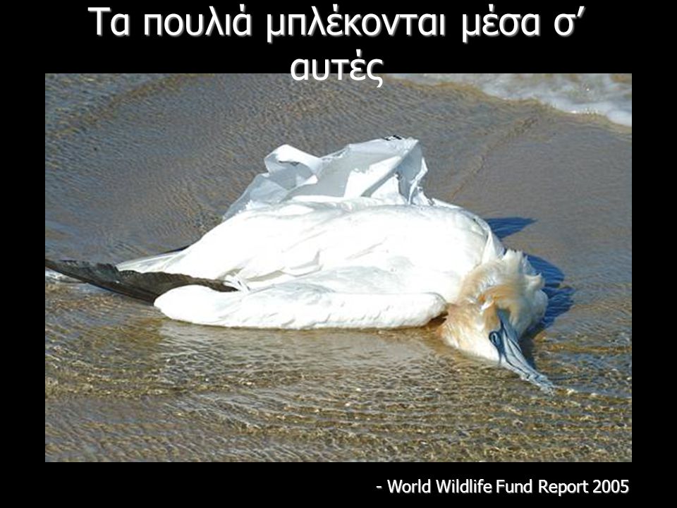 Τα πουλιά μπλέκονται μέσα σ’ αυτές - World Wildlife Fund Report 2005