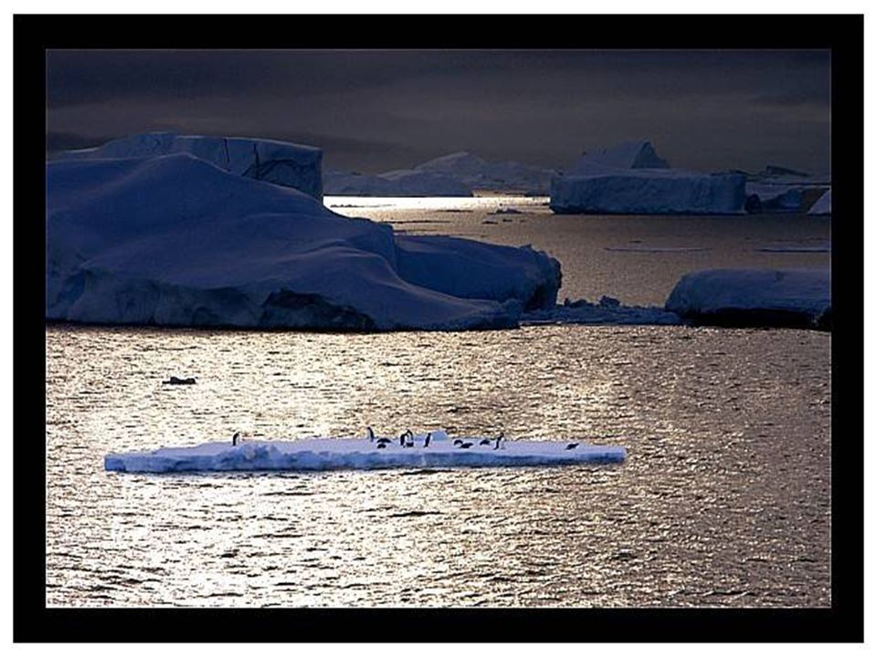 Περίπου το 99% της Ανταρκτικής είναι καλυμμένο με πάγο, φθάνοντας σε κάποια σημεία πολύ βαθιά όπως μέτρα.