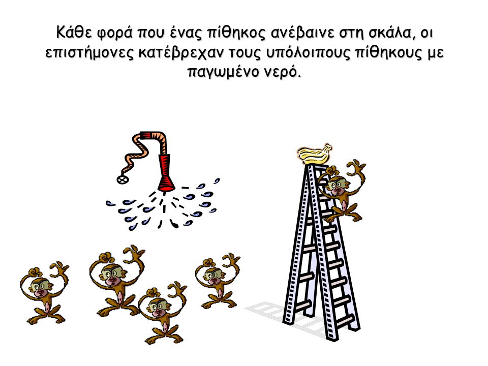Μία ομάδα επιστημόνων τοποθέτησε 5 πιθήκους σε ένα κλουβί και στη μέση έβαλε μία σκάλα με μερικές μπανάνες στην κορυφή.