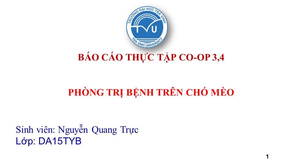 1 BÁO CÁO THỰC TẬP CO-OP 3,4 PHÒNG TRỊ BỆNH TRÊN CHÓ MÈO Sinh viên: Nguyễn Quang Trực Lớp: DA15TYB