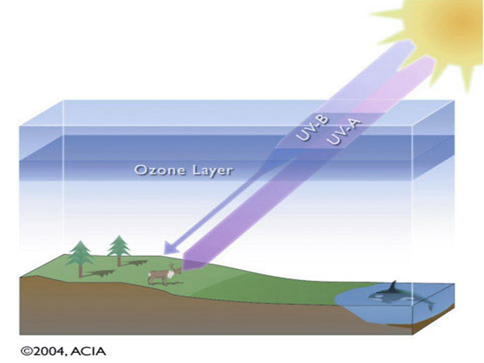 Дай озону деньги. Озоновый слой. Озоновый слой земли. Озоновый слой защищает землю от ультрафиолетовых лучей. Озоновый слой атмосферы.