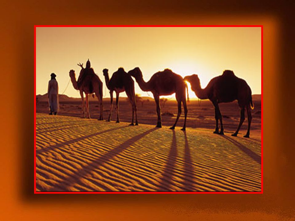 Τελικά, συναντήθηκε με το σοφό γέροντα, αφού χρειάστηκε να κάνει ένα μακρινό ταξίδι, διασχίζοντας ένα μεγάλο κομμάτι της ερήμου!