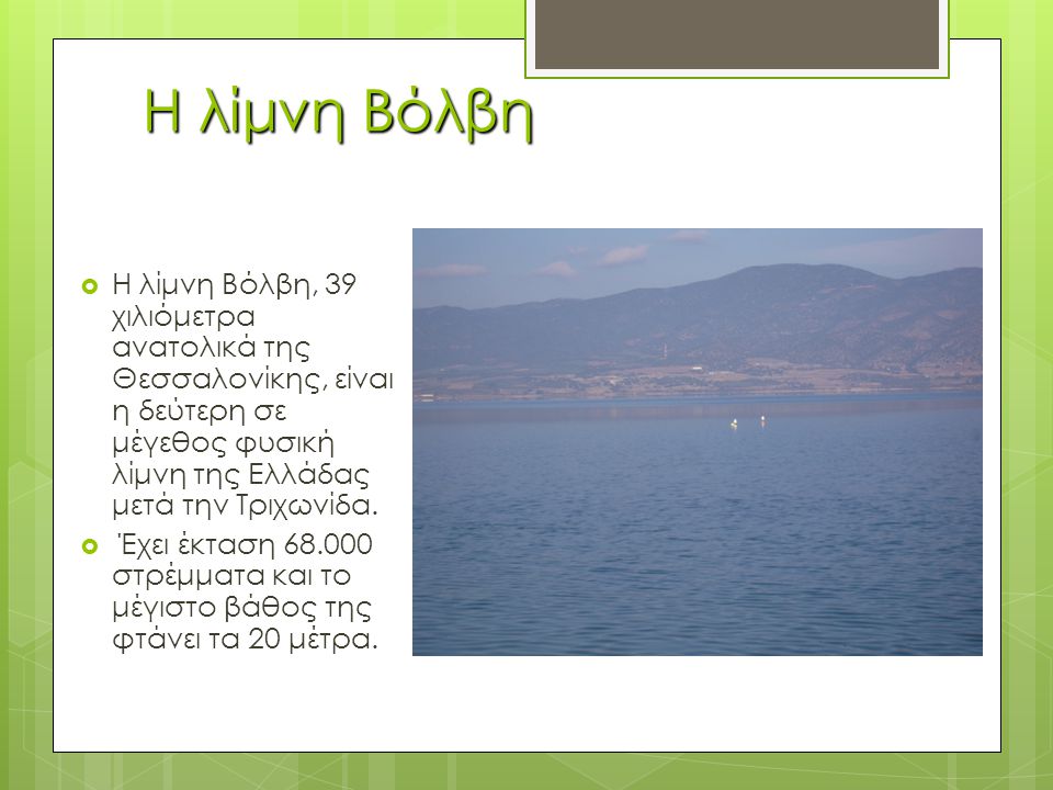 Η λίμνη Βόλβη  Η λίμνη Βόλβη, 39 χιλιόμετρα ανατολικά της Θεσσαλονίκης, είναι η δεύτερη σε μέγεθος φυσική λίμνη της Ελλάδας μετά την Τριχωνίδα.