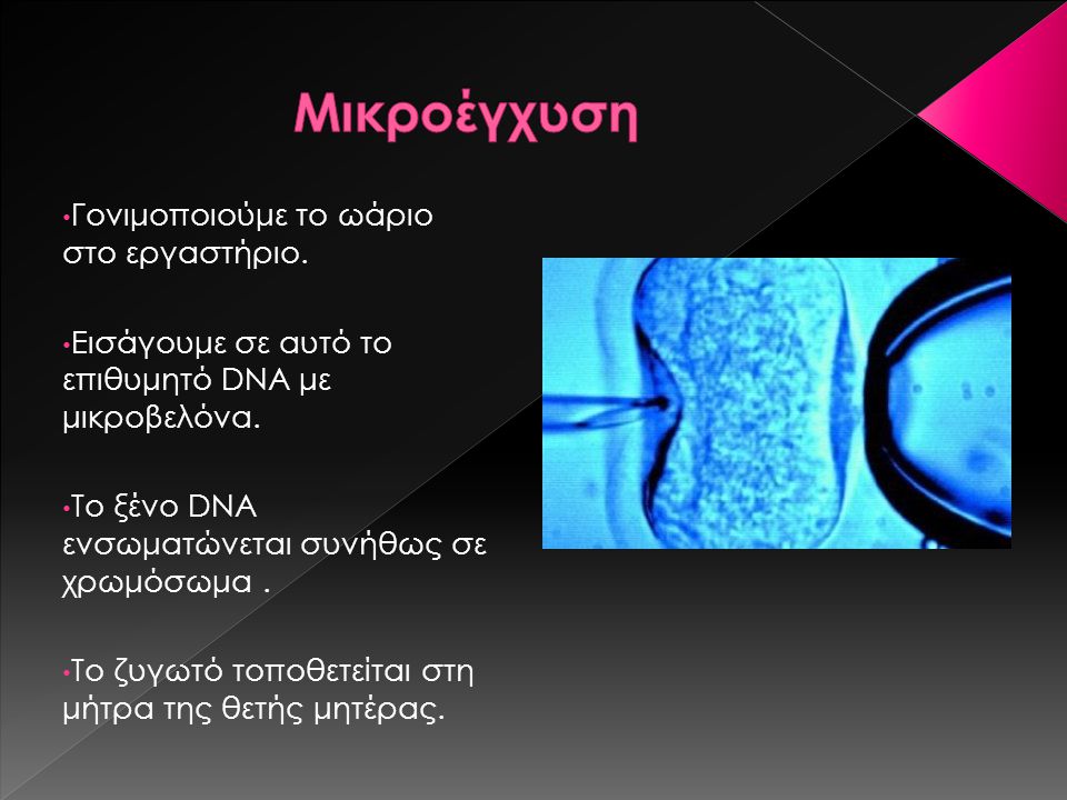 Γονιμοποιούμε το ωάριο στο εργαστήριο. Εισάγουμε σε αυτό το επιθυμητό DNA με μικροβελόνα.