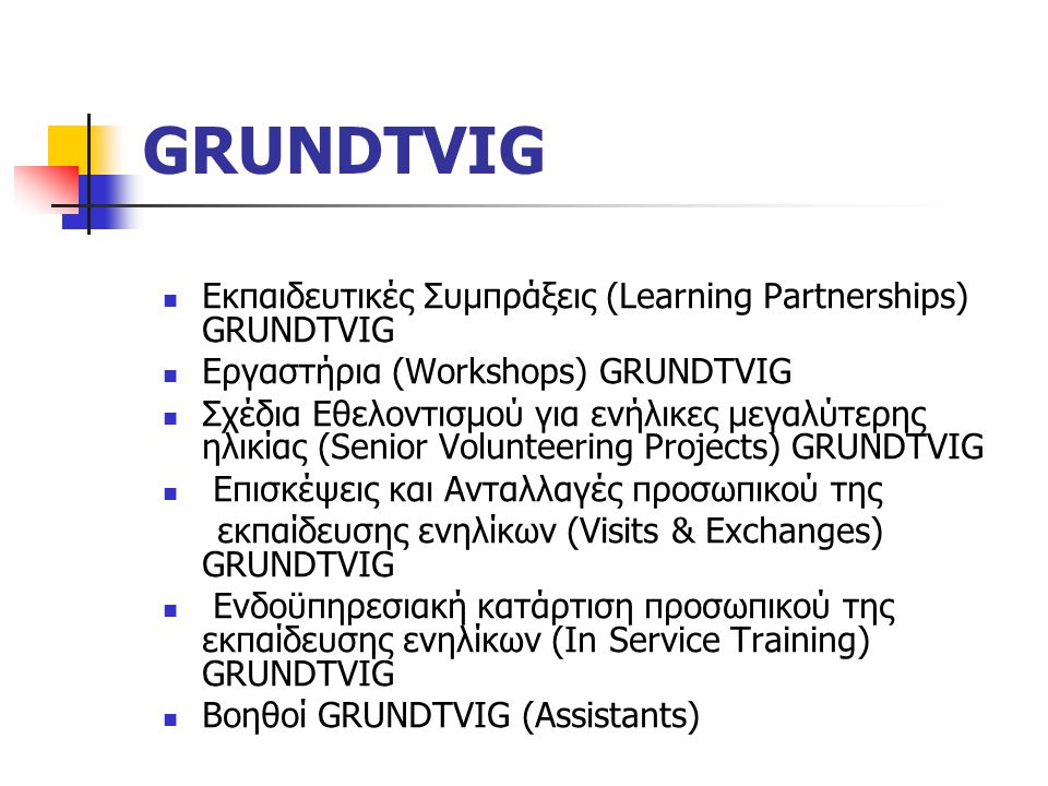 GRUNDTVIG Εκπαιδευτικές Συμπράξεις (Learning Partnerships) GRUNDTVIG Εργαστήρια (Workshops) GRUNDTVIG Σχέδια Εθελοντισμού για ενήλικες μεγαλύτερης ηλικίας (Senior Volunteering Projects) GRUNDTVIG Επισκέψεις και Ανταλλαγές προσωπικού της εκπαίδευσης ενηλίκων (Visits & Exchanges) GRUNDTVIG Ενδοϋπηρεσιακή κατάρτιση προσωπικού της εκπαίδευσης ενηλίκων (In Service Training) GRUNDTVIG Βοηθοί GRUNDTVIG (Assistants)