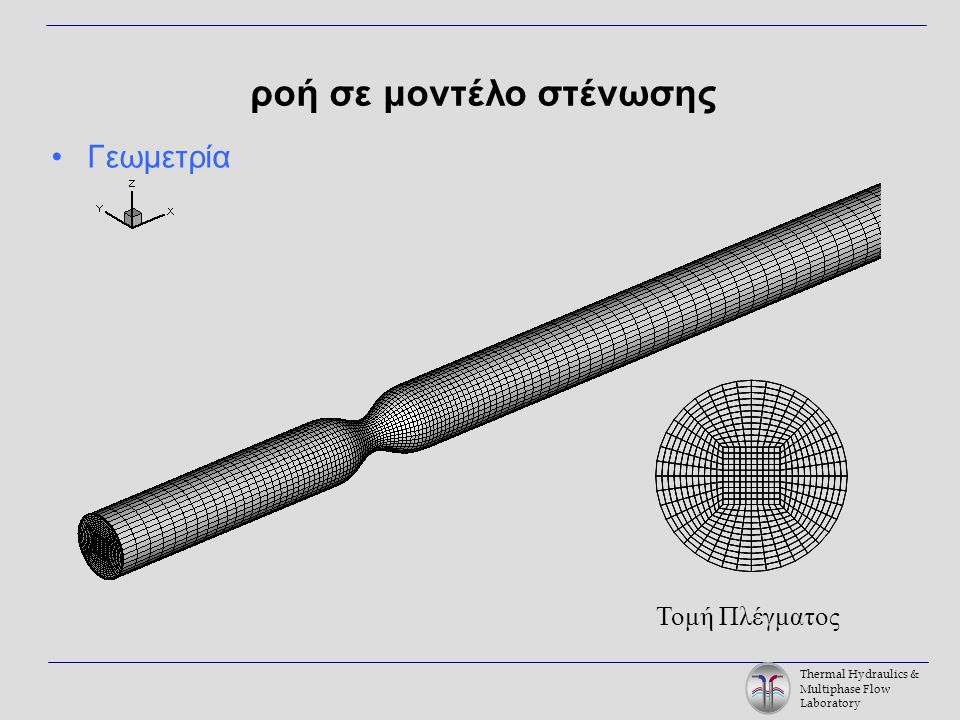 Thermal Hydraulics & Multiphase Flow Laboratory ροή σε μοντέλο στένωσης Γεωμετρία Τομή Πλέγματος