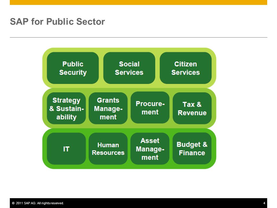 ©2011 SAP AG. All rights reserved.4 SAP for Public Sector