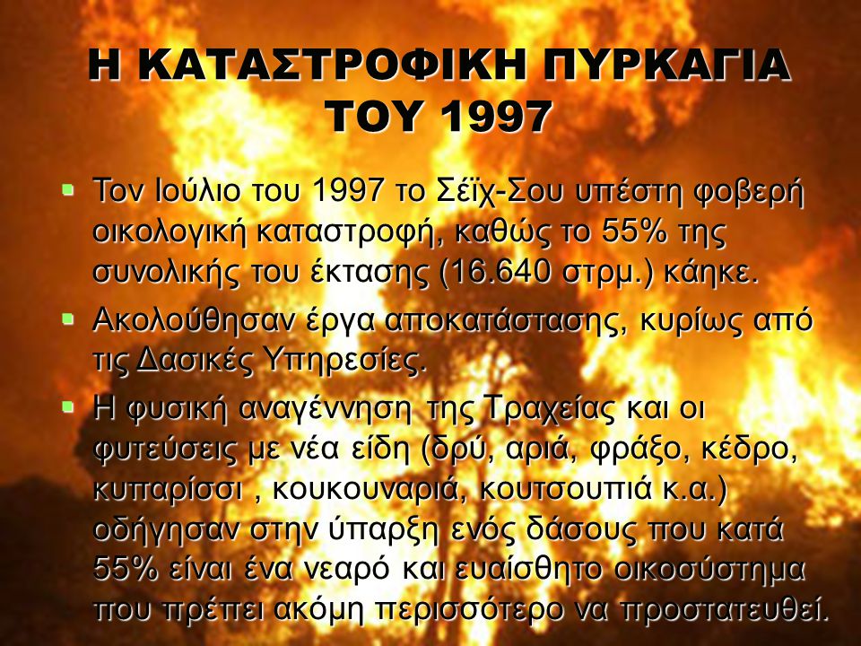 Η ΚΑΤΑΣΤΡΟΦΙΚΗ ΠΥΡΚΑΓΙΑ ΤΟΥ 1997  Τον Ιούλιο του 1997 το Σέϊχ-Σου υπέστη φοβερή οικολογική καταστροφή, καθώς το 55% της συνολικής του έκτασης ( στρμ.) κάηκε.